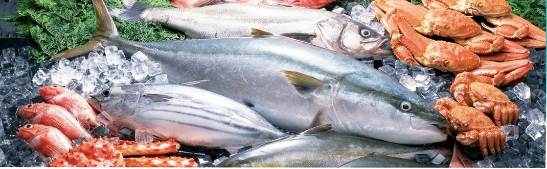 2022渔业图.png 2022渔业图.png