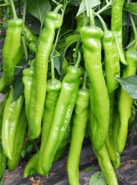 QQ截图20191209090003.jpg QQ截图20191209090003.jpg